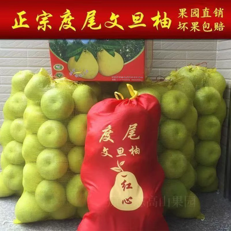 福建度尾文旦柚新鲜采摘应季节水果柚子