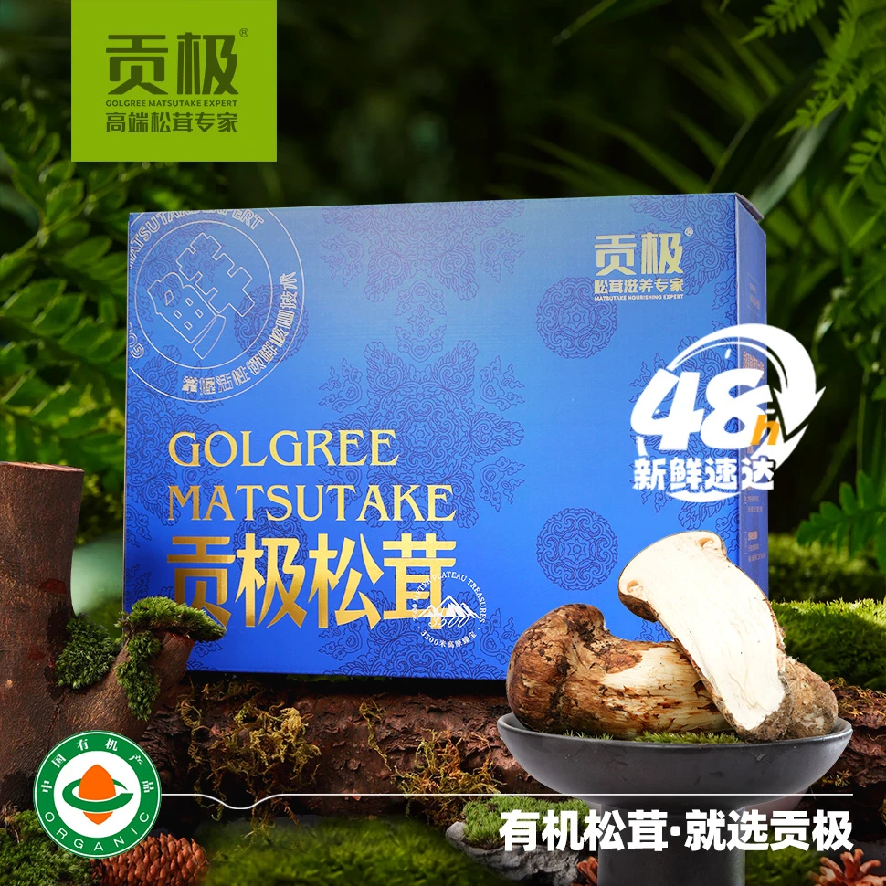 新鲜松茸有机滋补菌菇礼盒中秋送礼高端食材炖汤滋补食材
