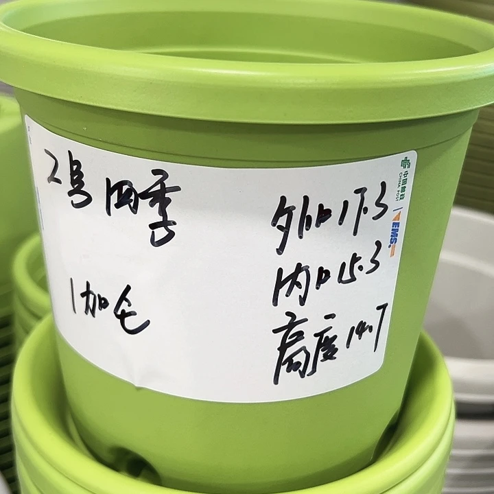 正品2号四季口17.3高14.7果绿无托10只