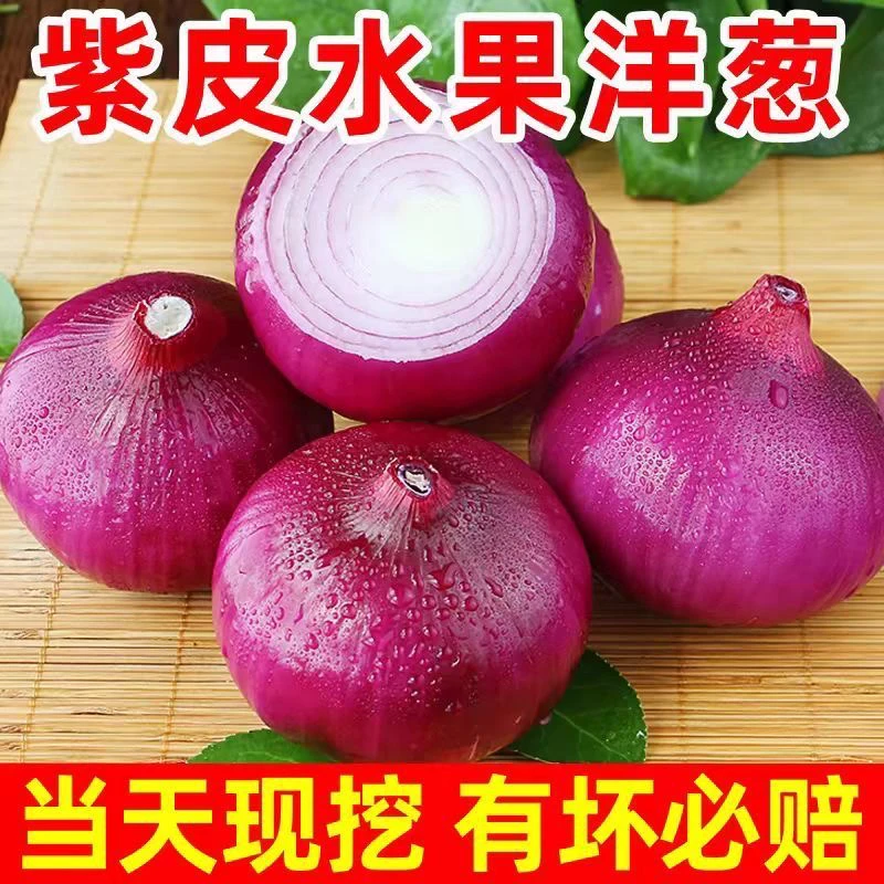 【2025鲜货5斤】新鲜紫皮洋葱脆甜多汁水果蔬菜圆葱生吃凉拌优选