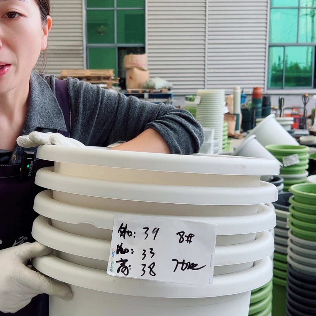 瑕疵四季盆8#白色5个无托