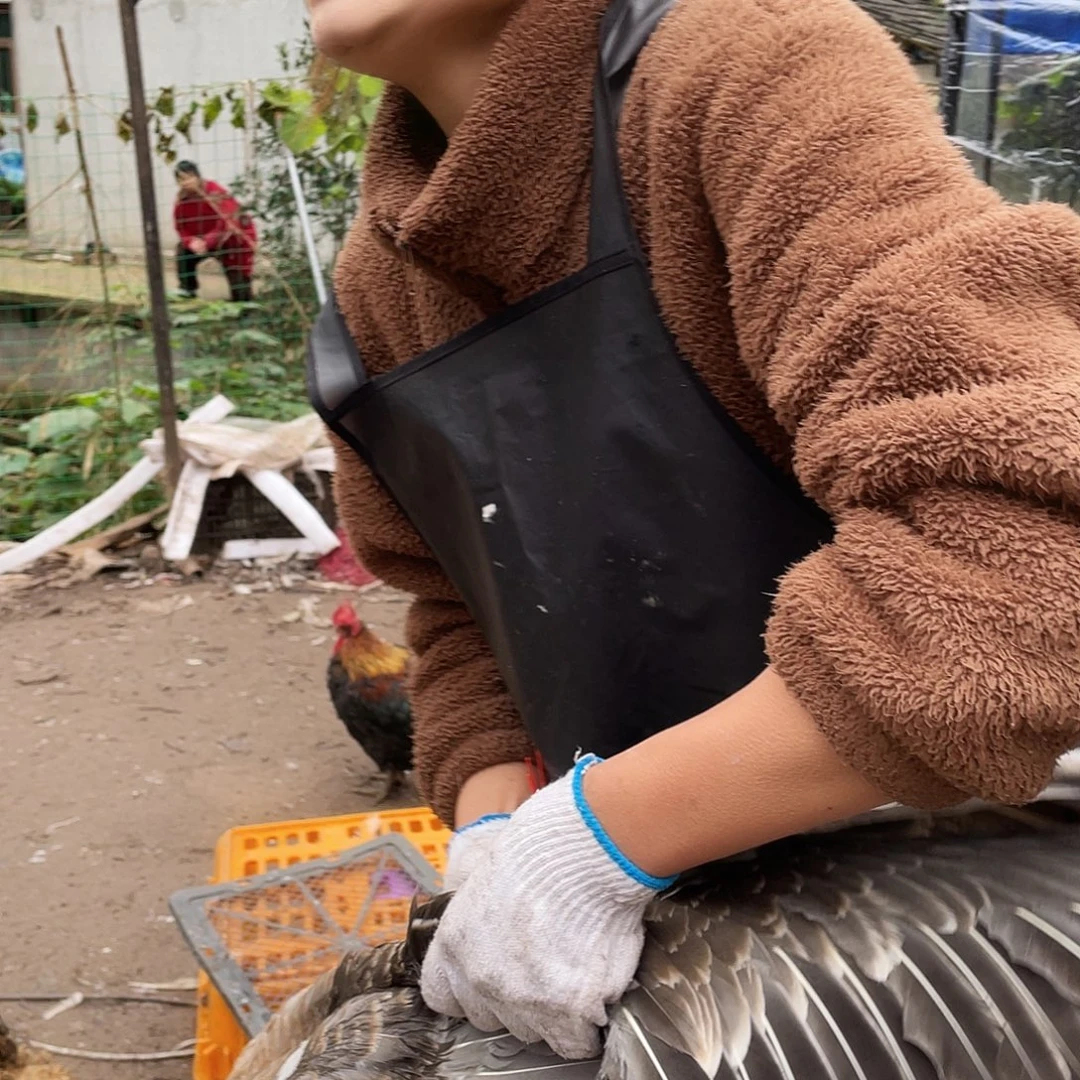 211111111中国大陆包装141号