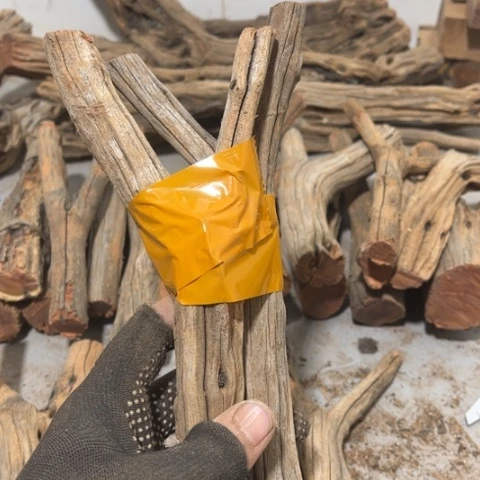 大果紫檀（缅甸花梨）一**发