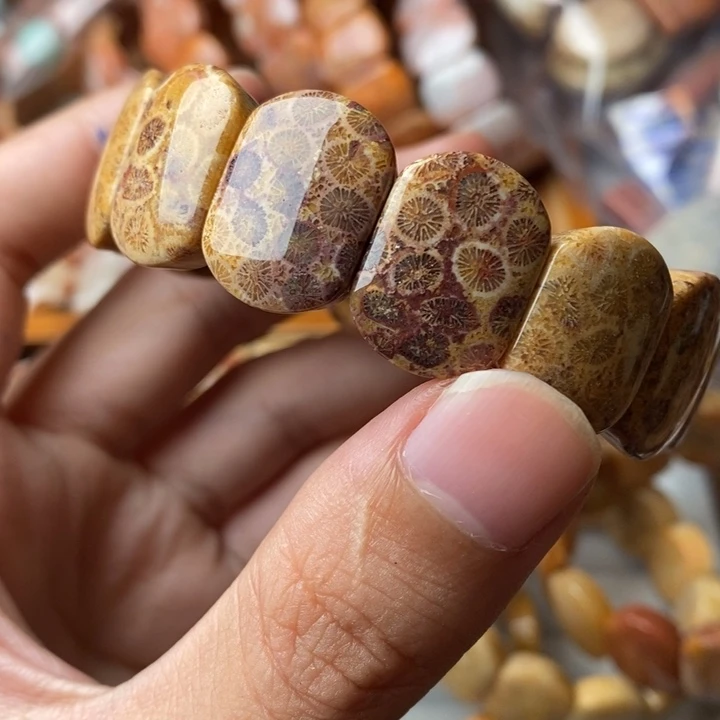 江***河未镶嵌珊瑚玉硅化玉