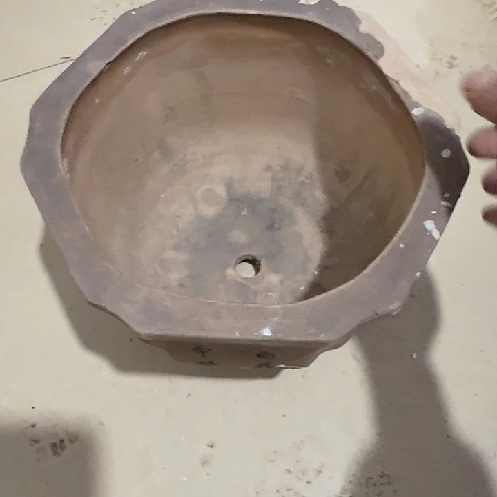 心***水扇子把g哈哈哈哈哈哈哈哈哈姐姐好