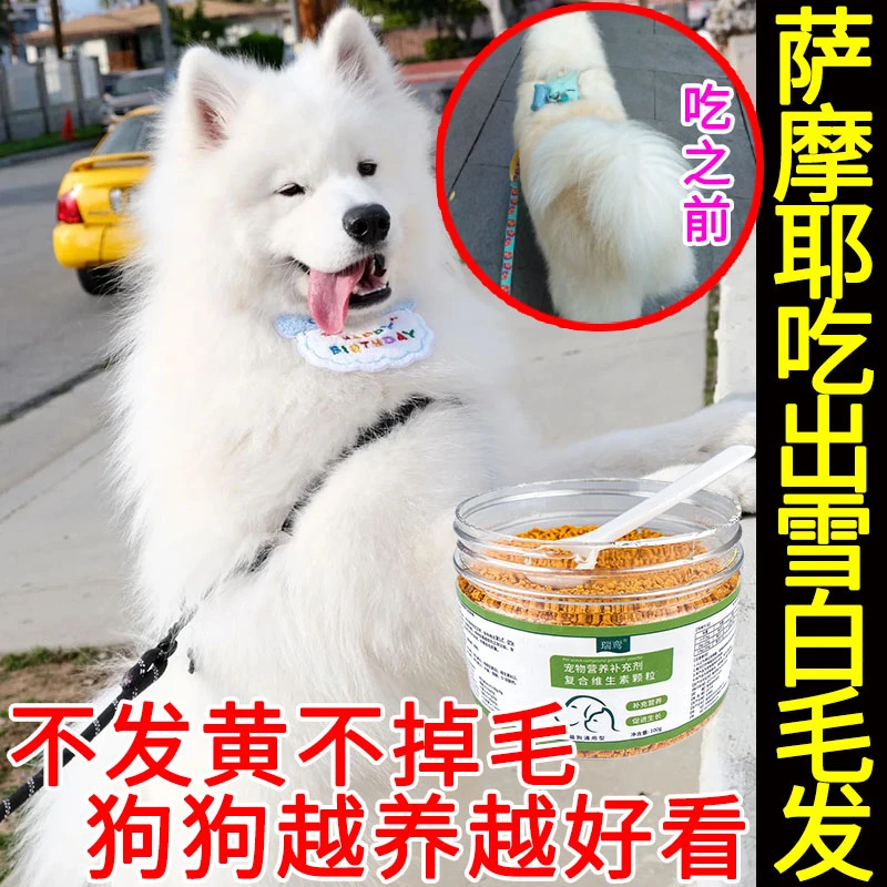 宠物滋养毛发营养品促进发育防脱毛狗狗毛发去黄增白维生素颗粒