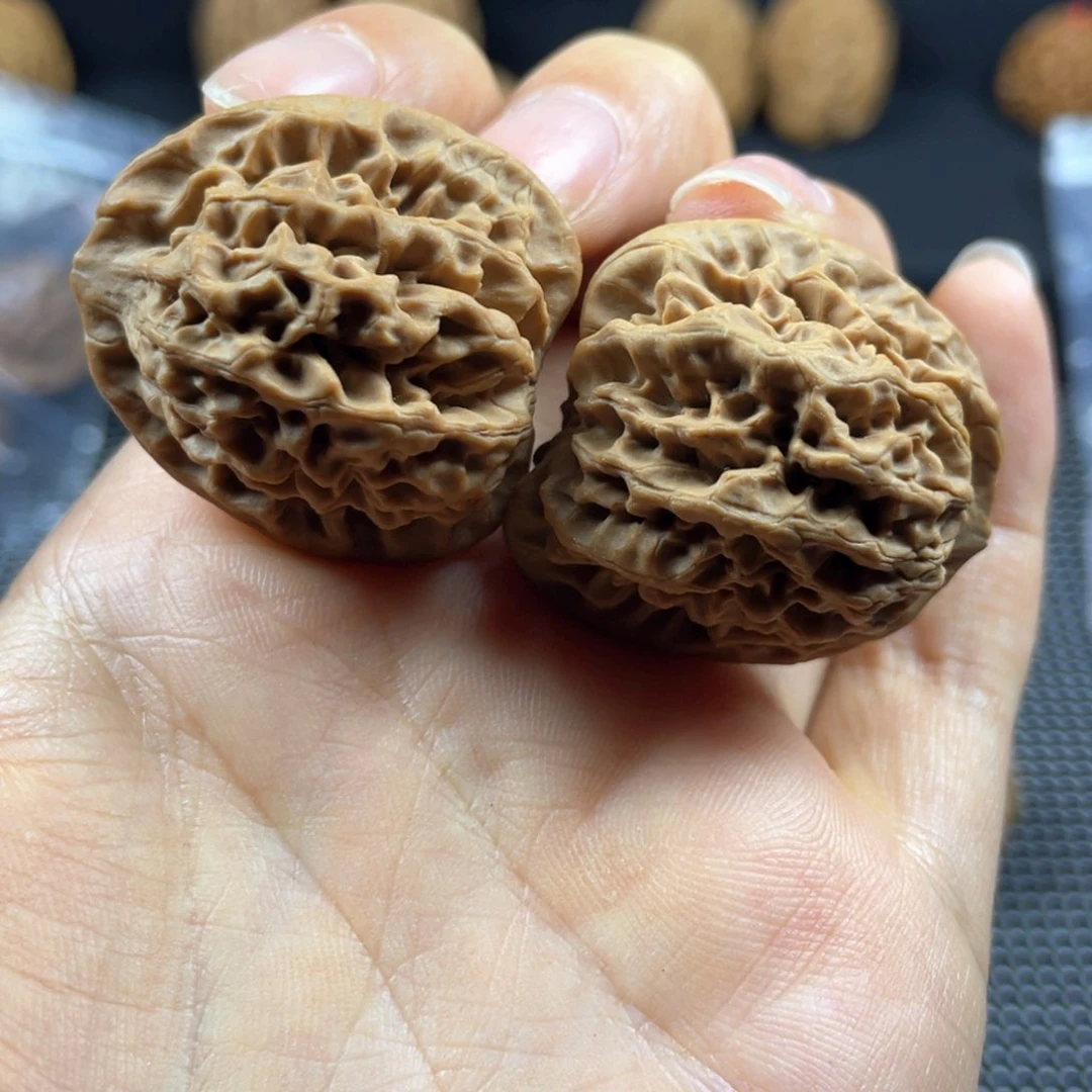 嘎****卡秦岭神树秦闷小王