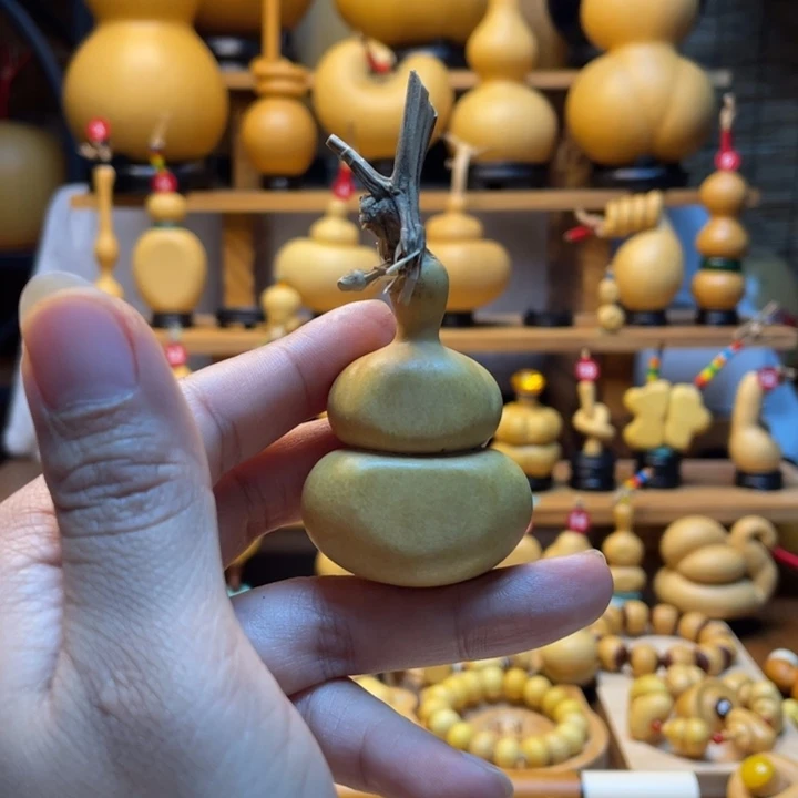 1***3天然葫芦自然生长