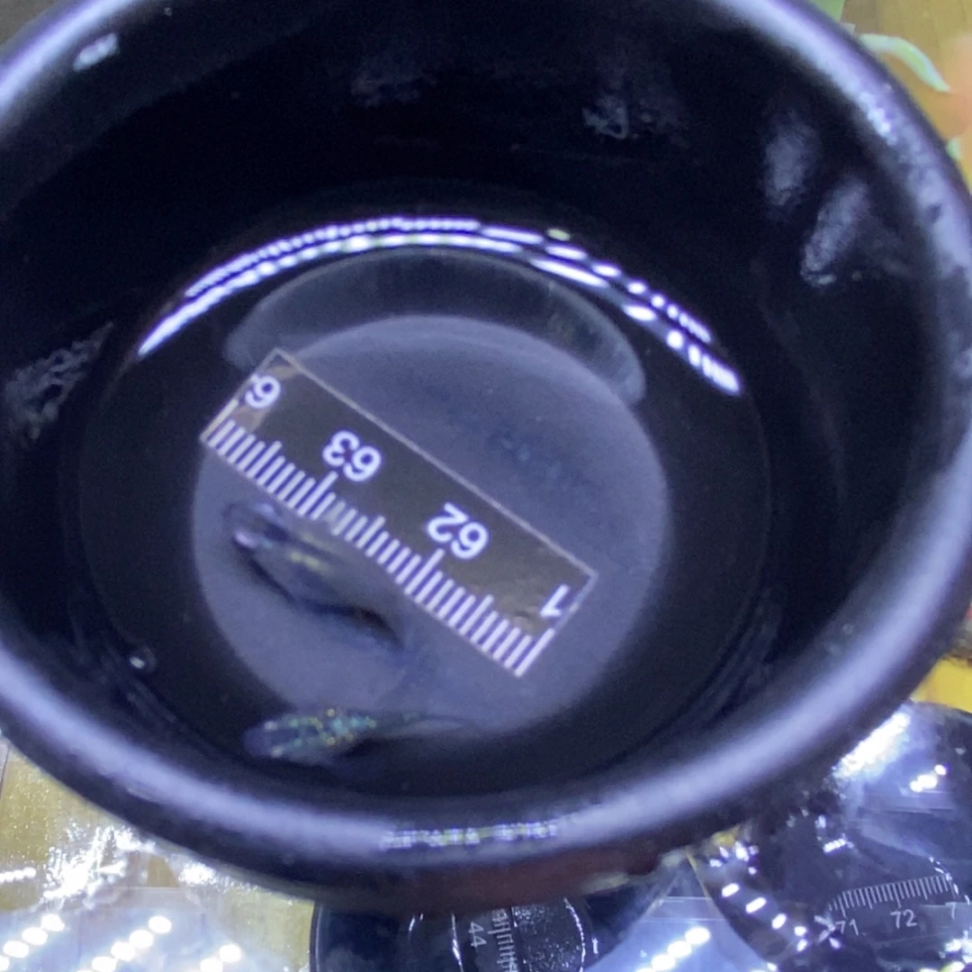 青鳉鱼球体表面63号