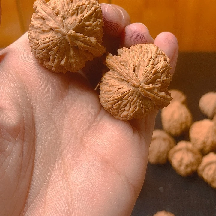 狡***兔吊坠文玩核桃白狮子