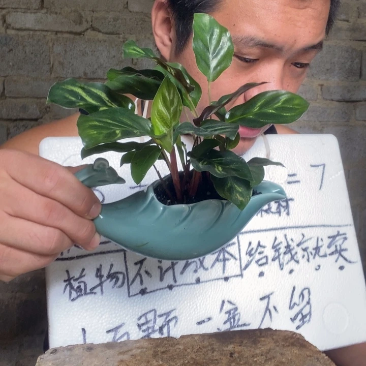 退款拉黑一物一拍230