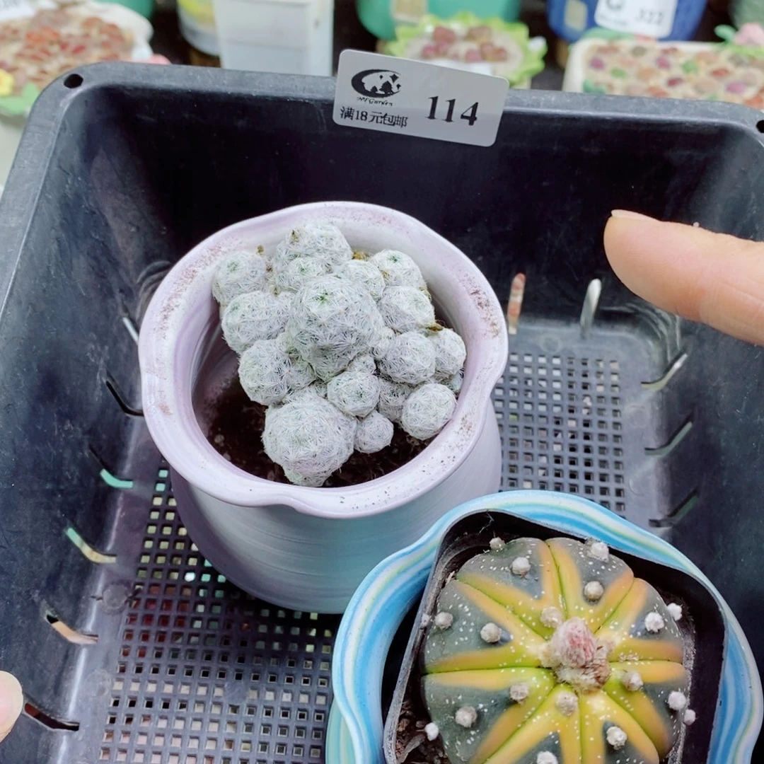 ?*其实哈哈哈哈哈哈哈哈哈114