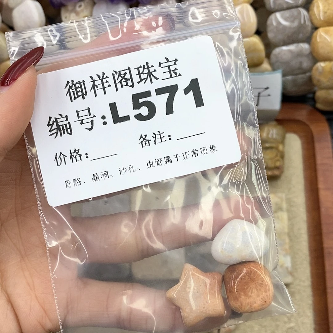 硅化珊瑚（珊瑚玉）L未镶嵌苦*