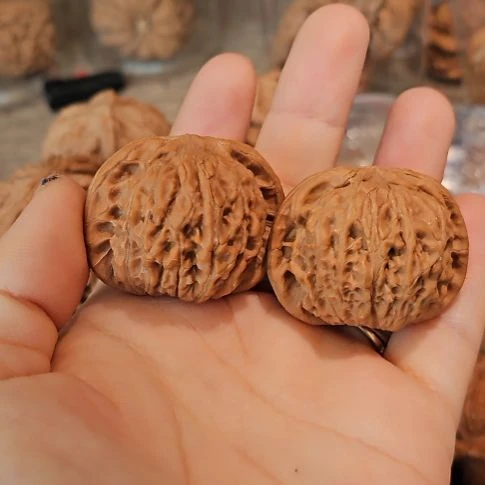 实***人文玩核桃吊坠39血麒麟