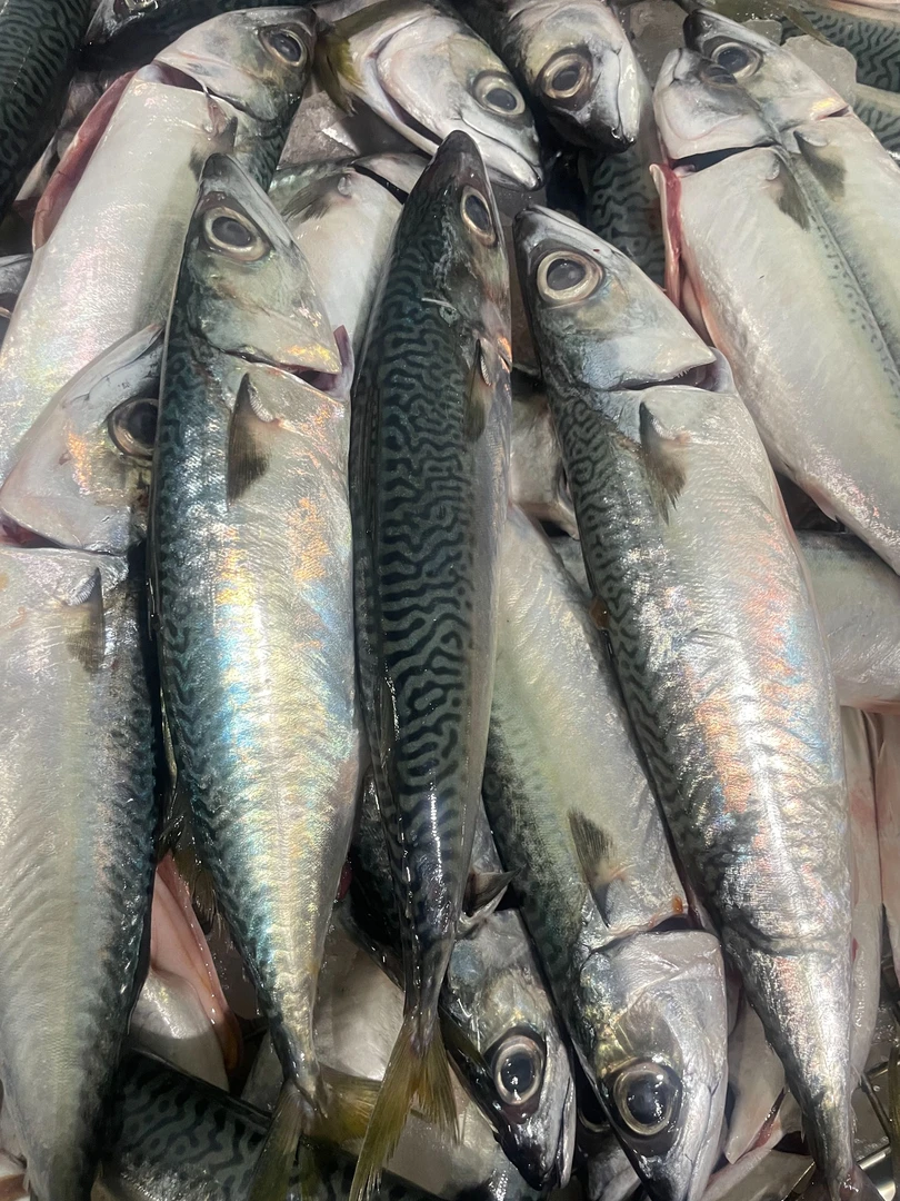 神泉本港花仙鱼5斤包邮杀好一斤400克