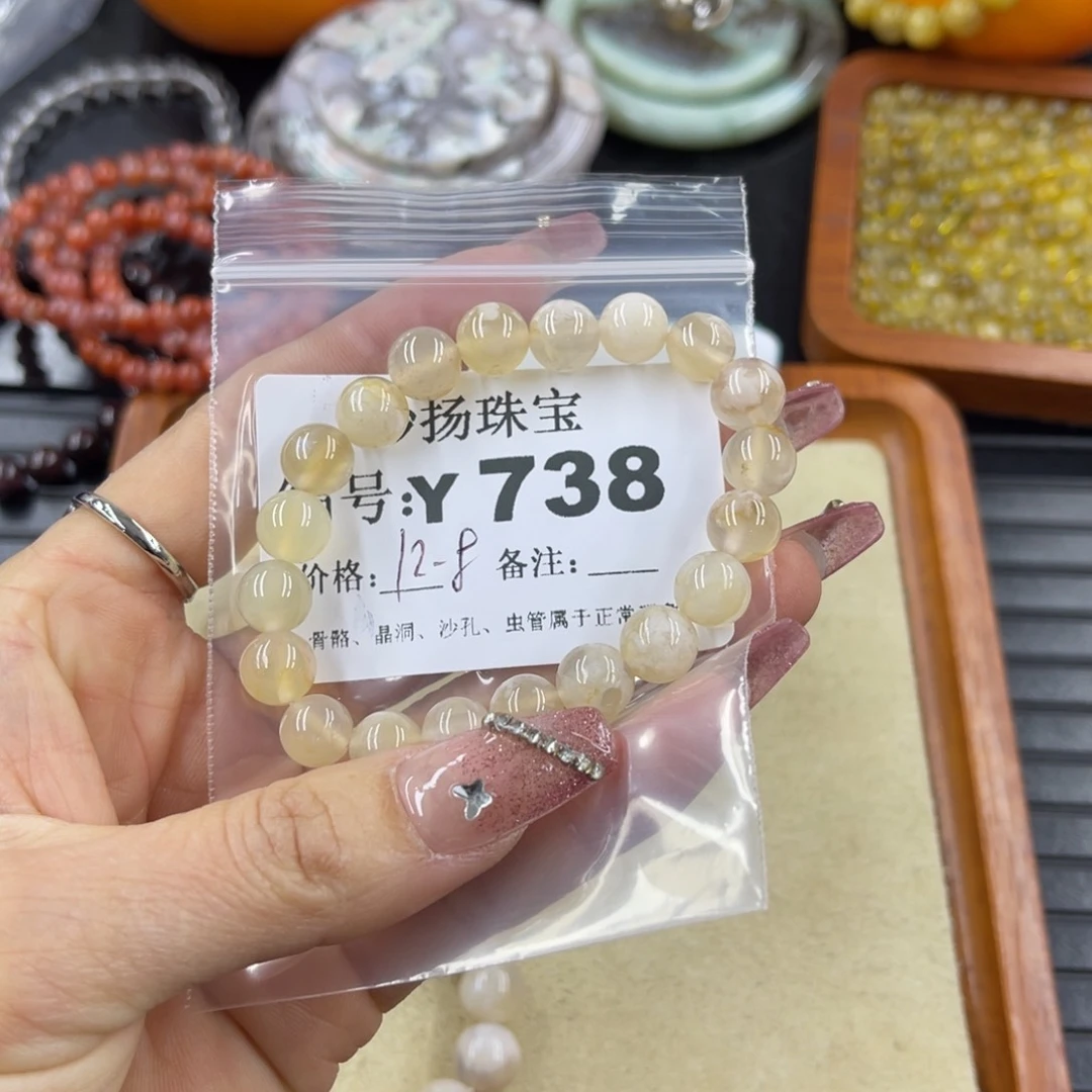 硅化珊瑚（珊瑚玉）瑕未镶嵌拉*