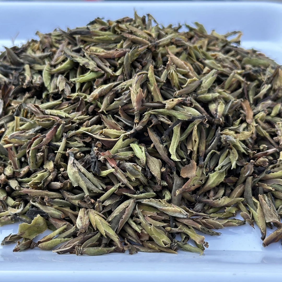【三年野生紫芽芽孢】头春单芽头陈香开箱支持试喝100g