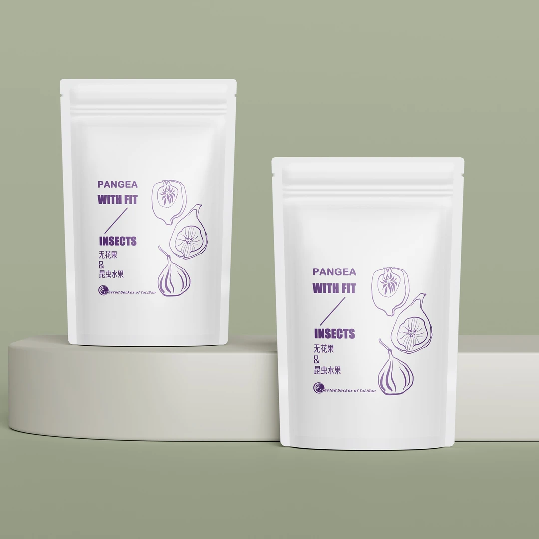 睫角PANGEA果泥饲料粉睫角守宫巨人守宫实物FOOD