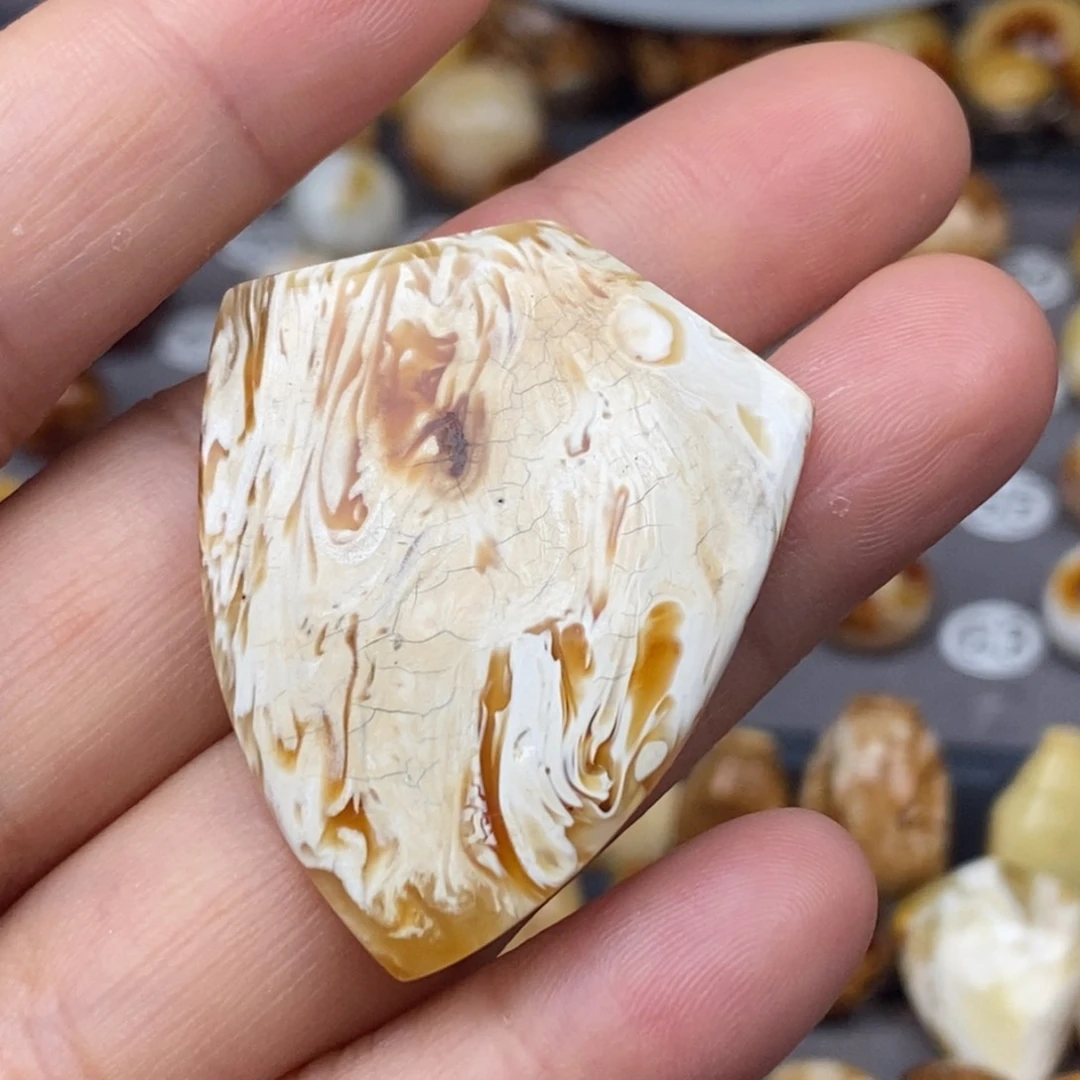 裸石琥珀未镶嵌盾牌