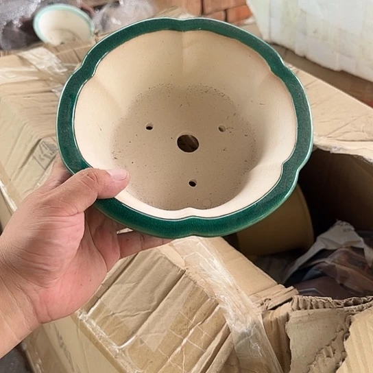 一哈来我这儿来玩我等