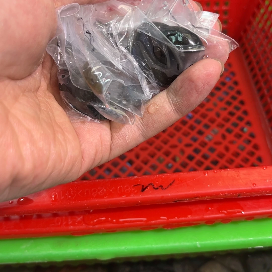 吊坠未镶嵌拉长石?****