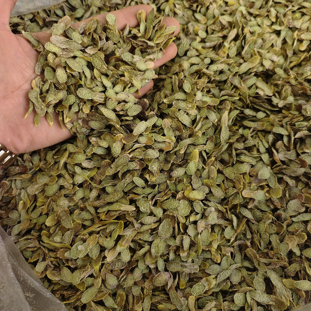 ［大片铁皮石斛片]可泡水泡酒煲汤