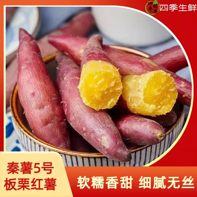 【板栗红薯】新鲜现挖沙地板栗红薯粗粮早餐辅食