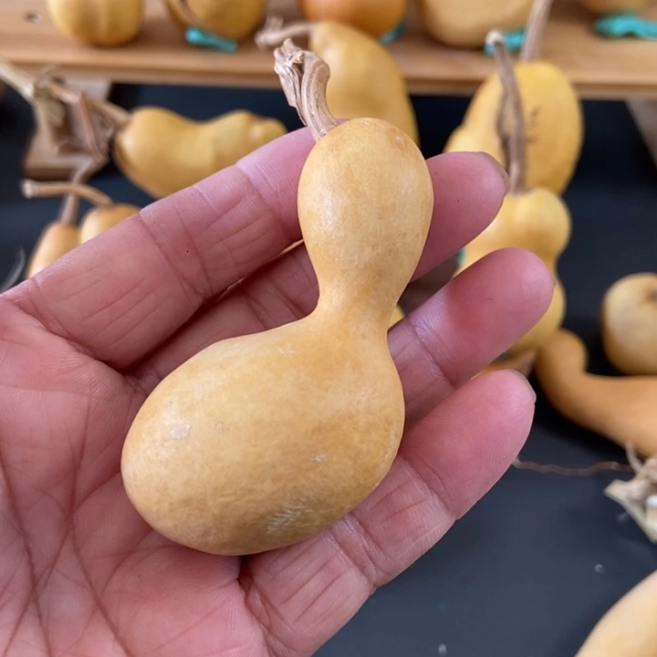 S****tsfhisxgioigfcv