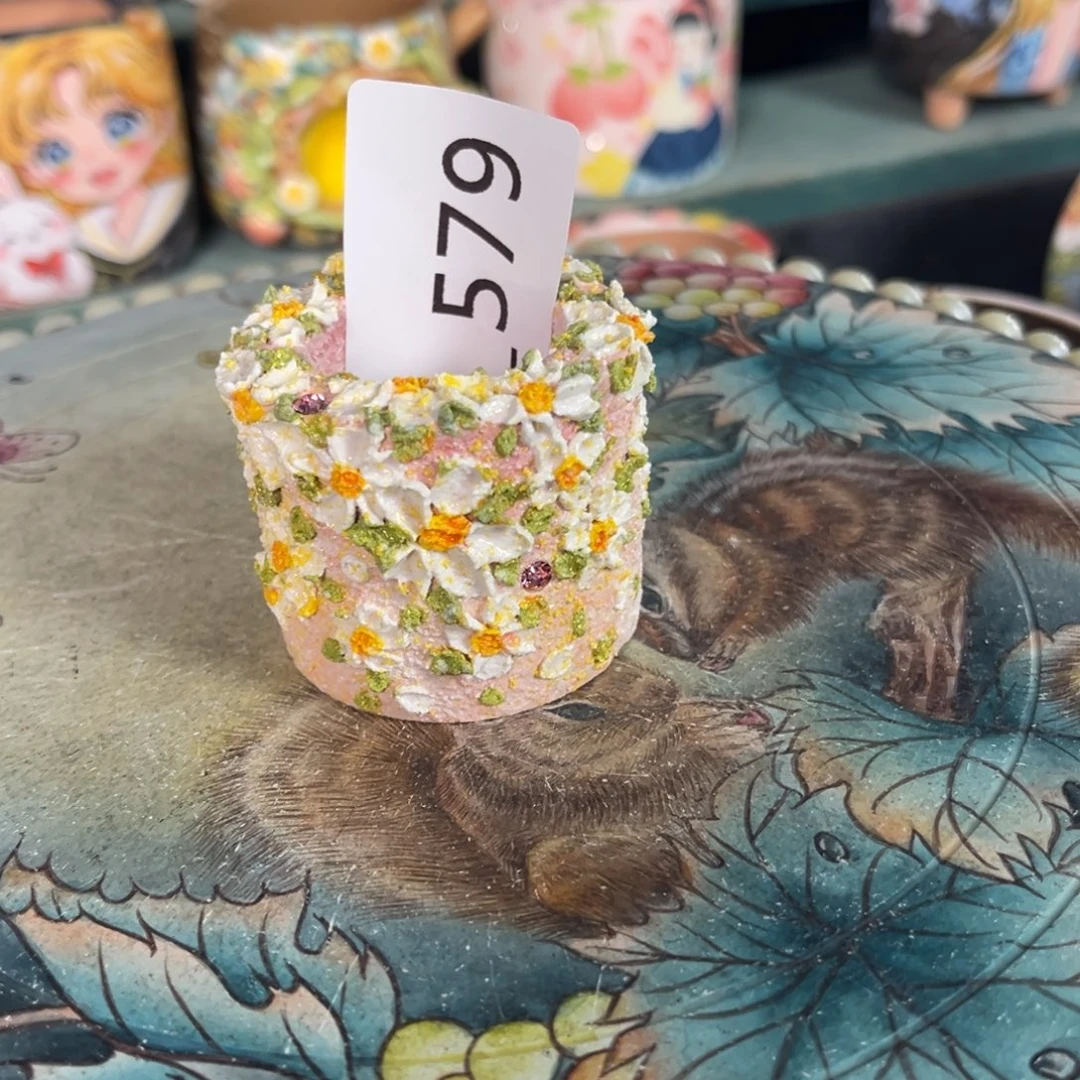 瑶****579多肉花盆   1个