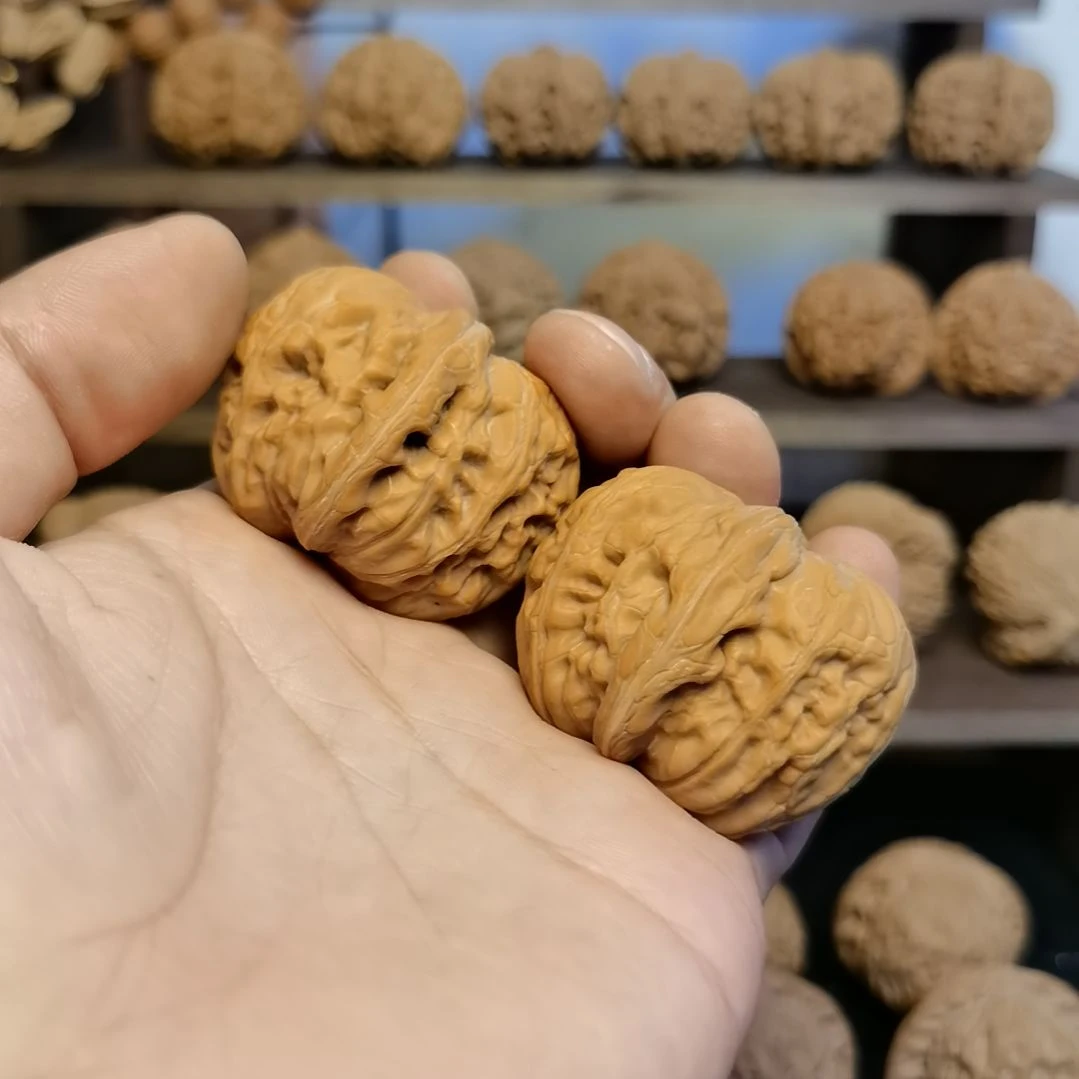 @***南把件文玩核桃43全品南瓜