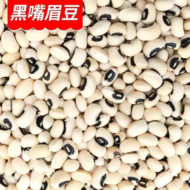 农家白豇豆，特色农产品