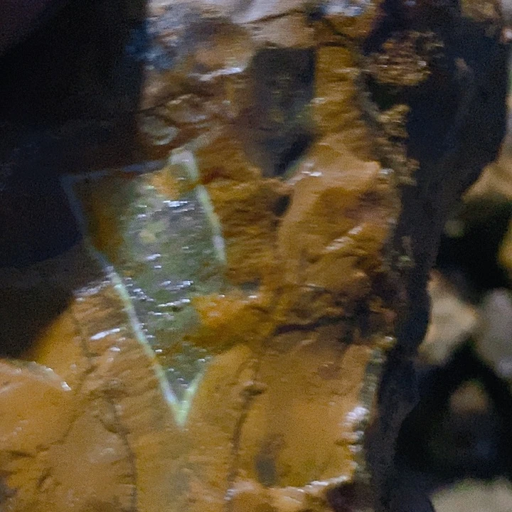 未镶嵌定制玛瑙海口咯哦呜呜羊*?