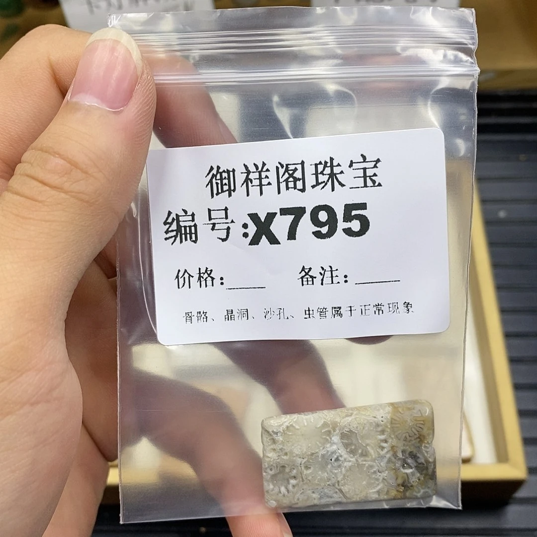 硅化珊瑚（珊瑚玉）未镶嵌颈饰梦****作
