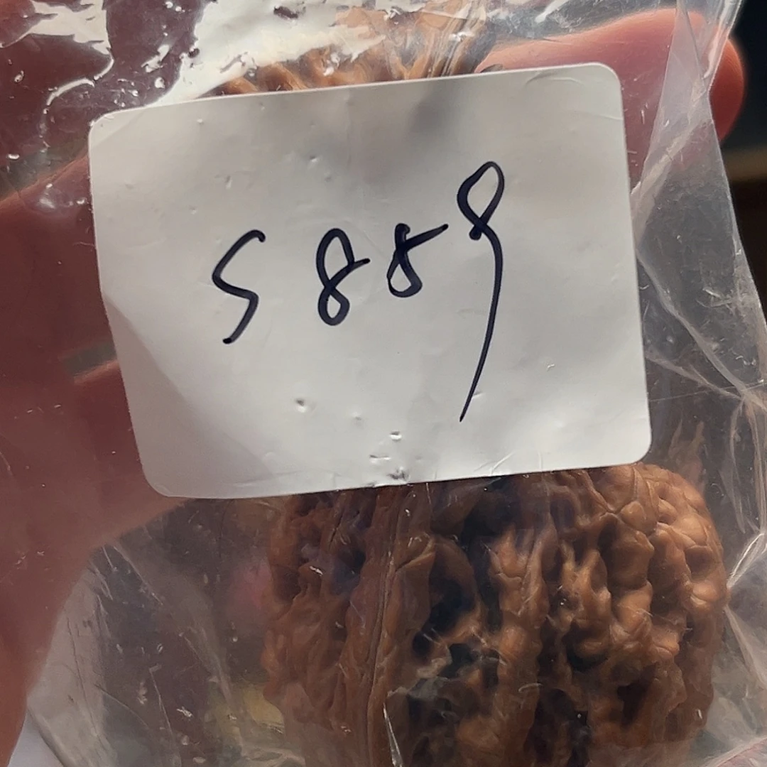 文玩核桃吊坠蛤蟆s859