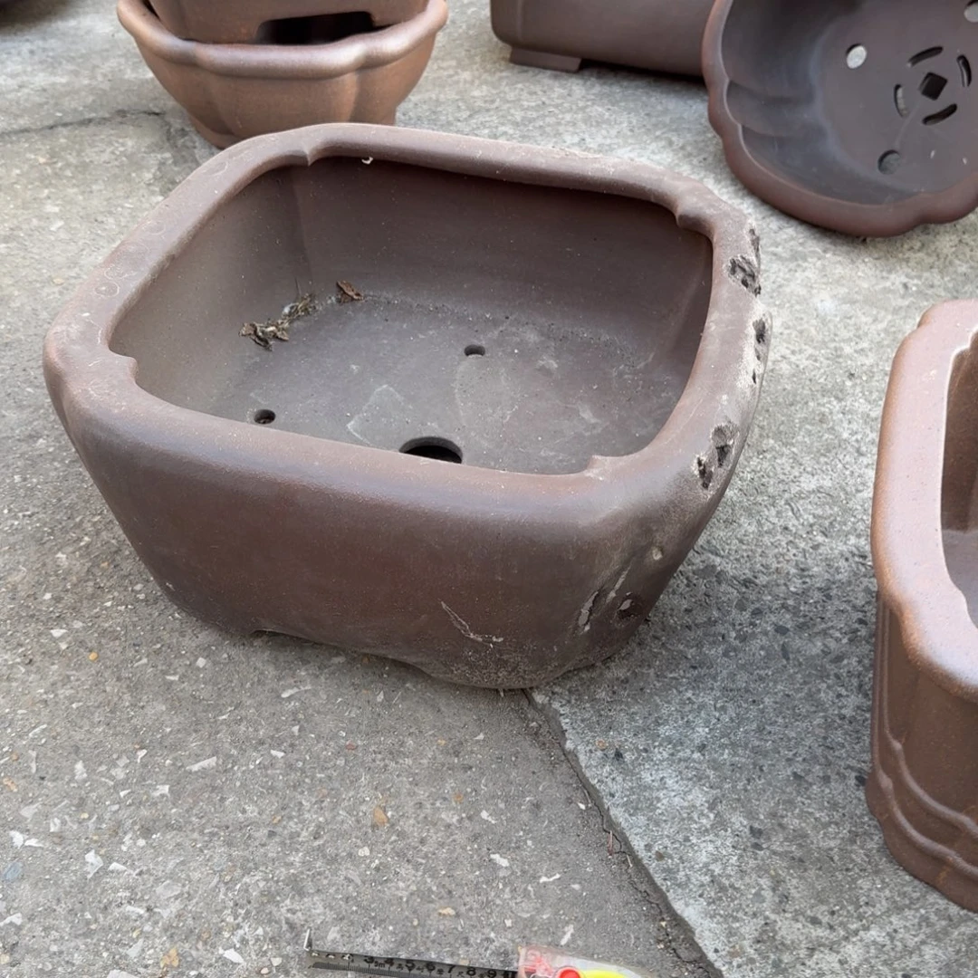 壹***》紫砂呜呜呜我的宝我的小可爱小