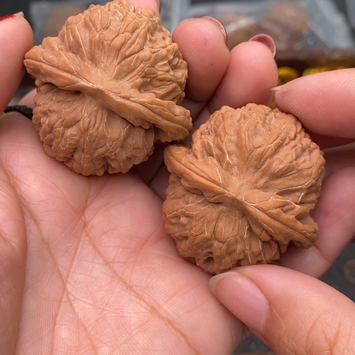 核桃女娲氏42尺核桃