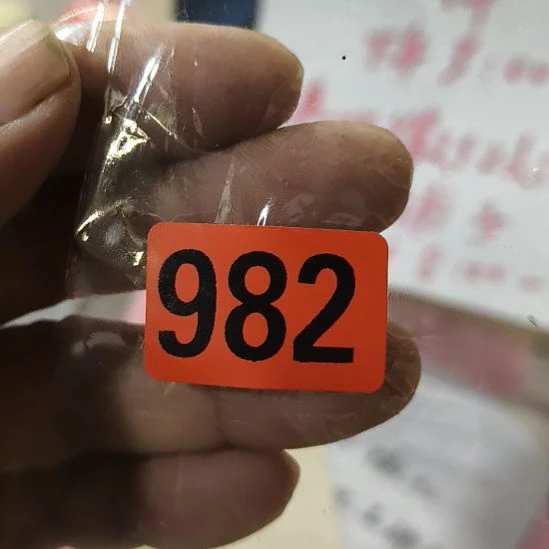 ****生民俗文化研究研究