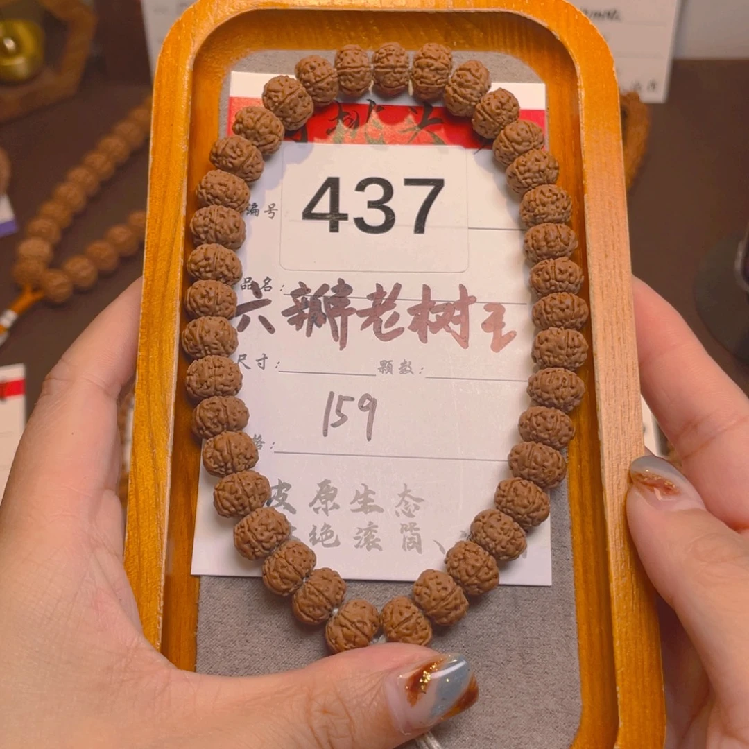菩提437六瓣老树王10+
