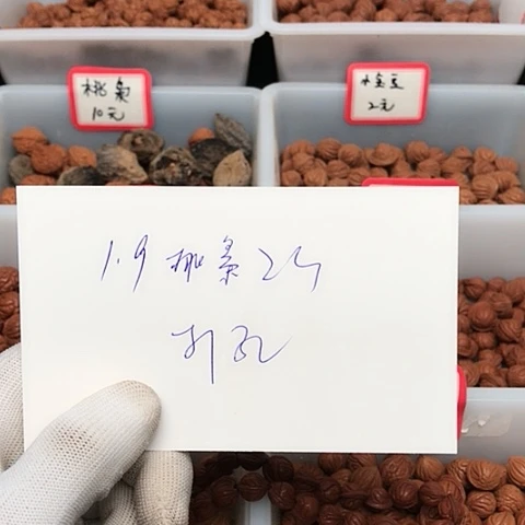 桃核吊坠静*龙纹桃核的搭配