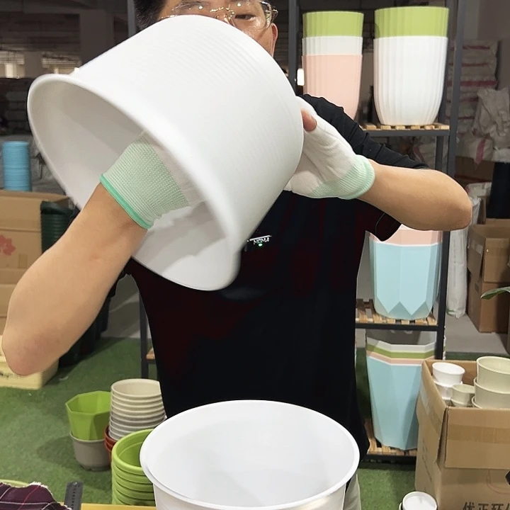 正品仿炭烧口24高18白色带托2只