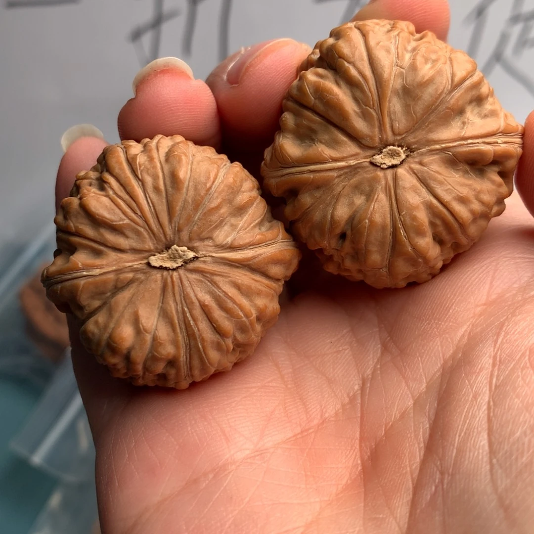 T***y平底37克的皮条真的超级