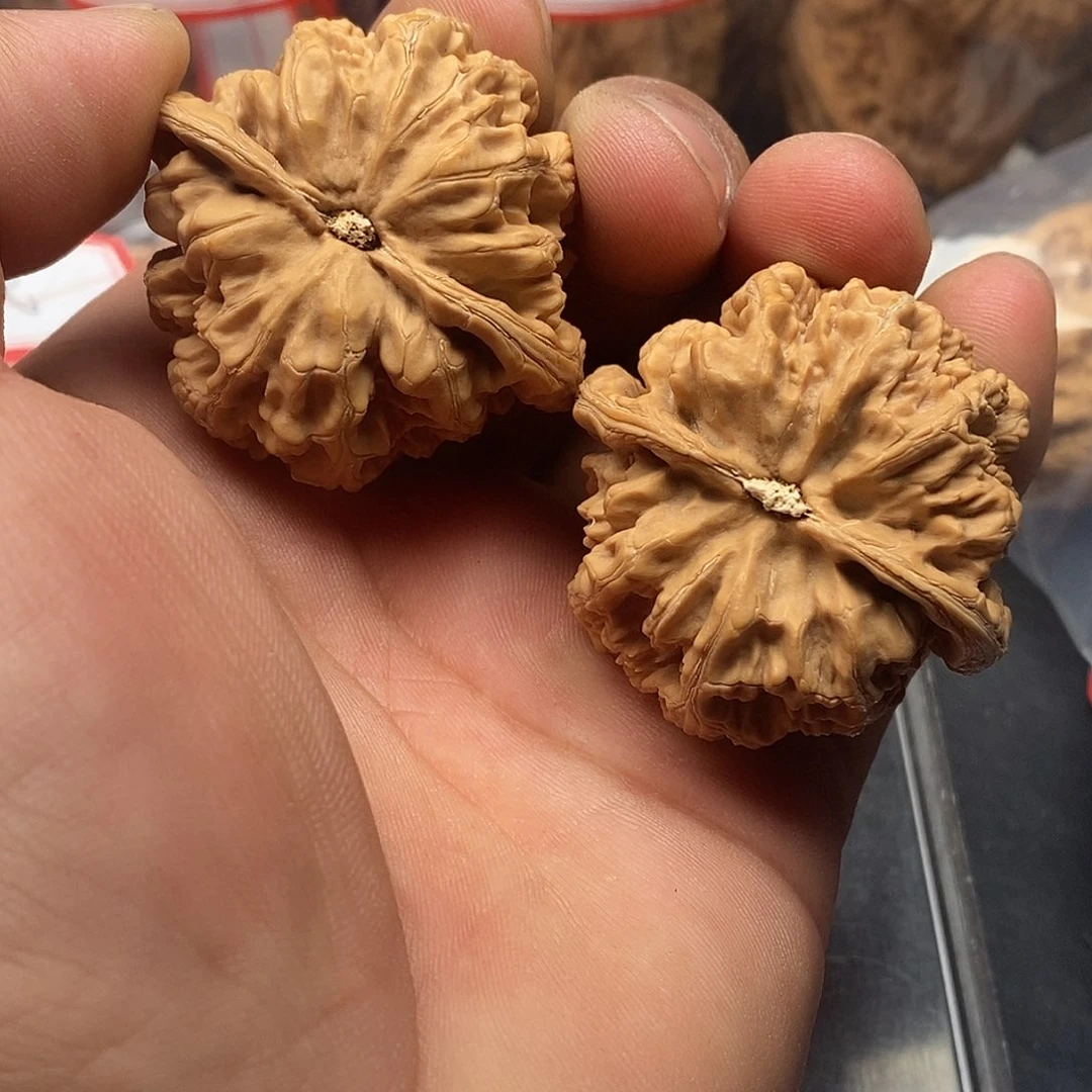 文玩核桃把件孟*粗筋44.5全品