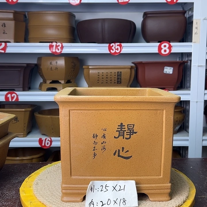 花盆紫砂你在一起