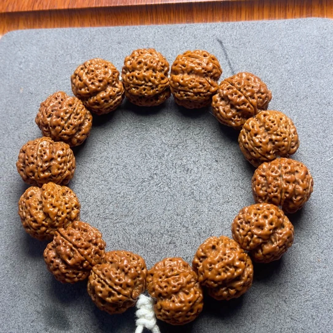 菩提17号金刚菩提深沟梅花双龙23