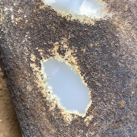 瓷片瓷器紫砂壶摆件