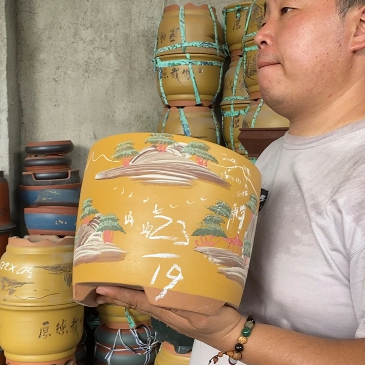 紫砂花盆盆栽花卉种植