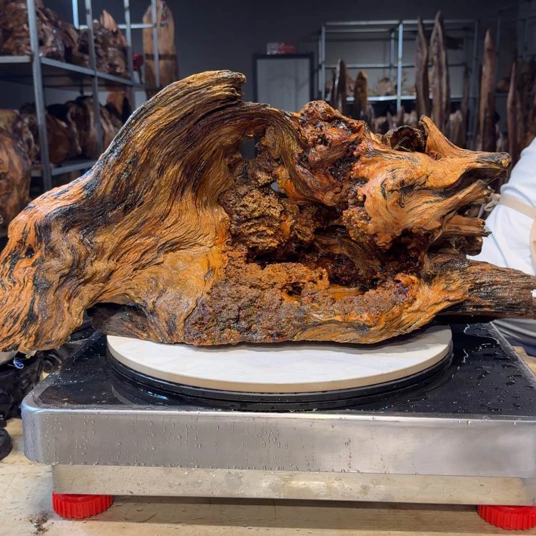 木鉴*堂王一刀琥珀木86