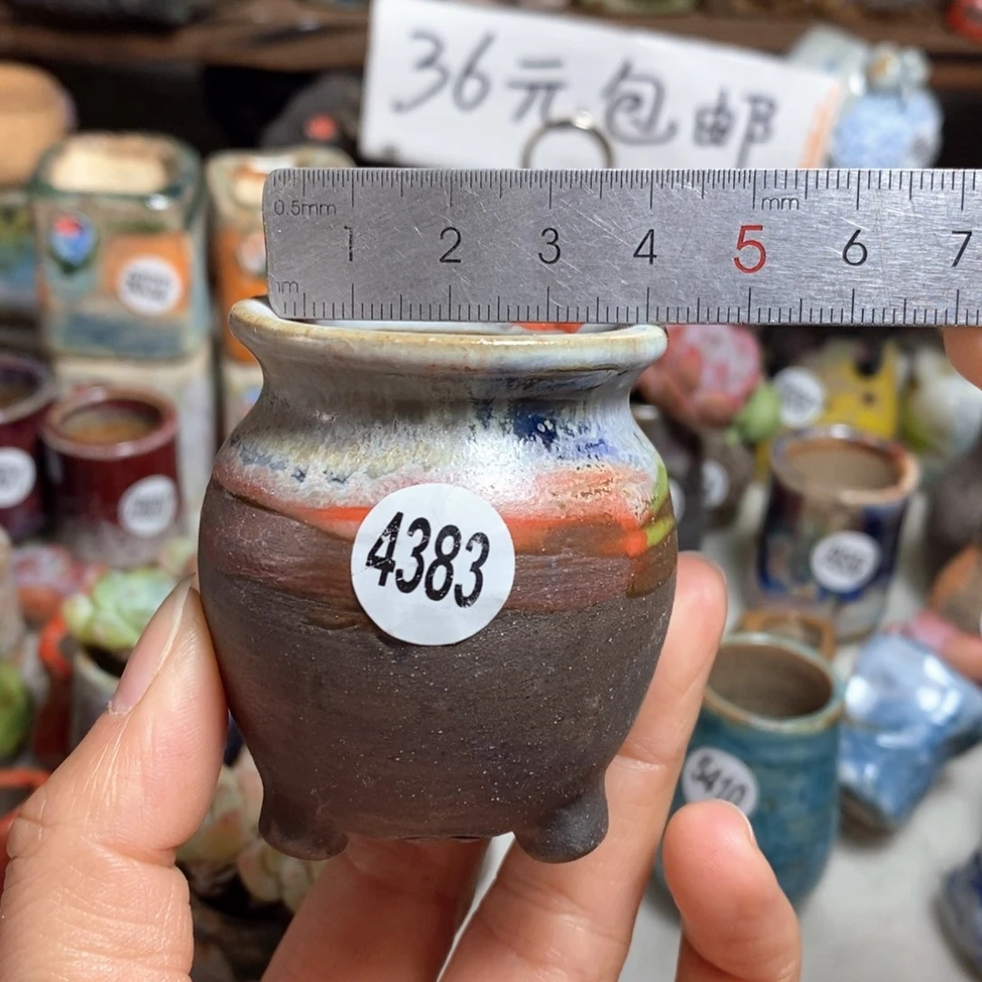 花盆拍5送一个小礼物