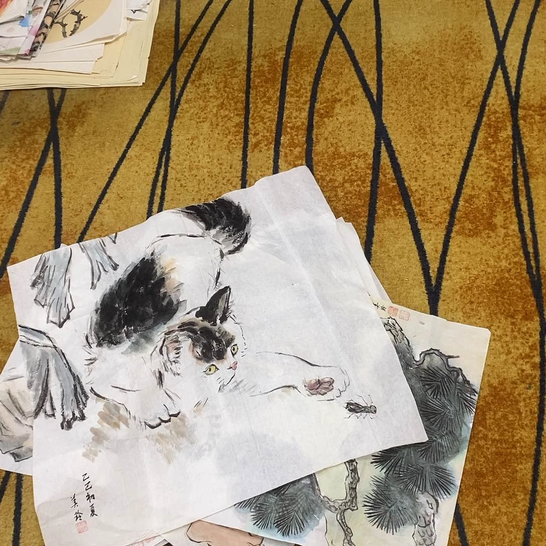 国画崛*国画王美玲34/68手绘画心