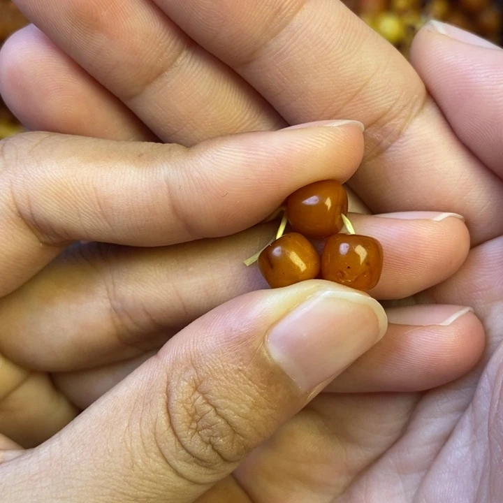 未镶嵌琥珀珠宝奇石